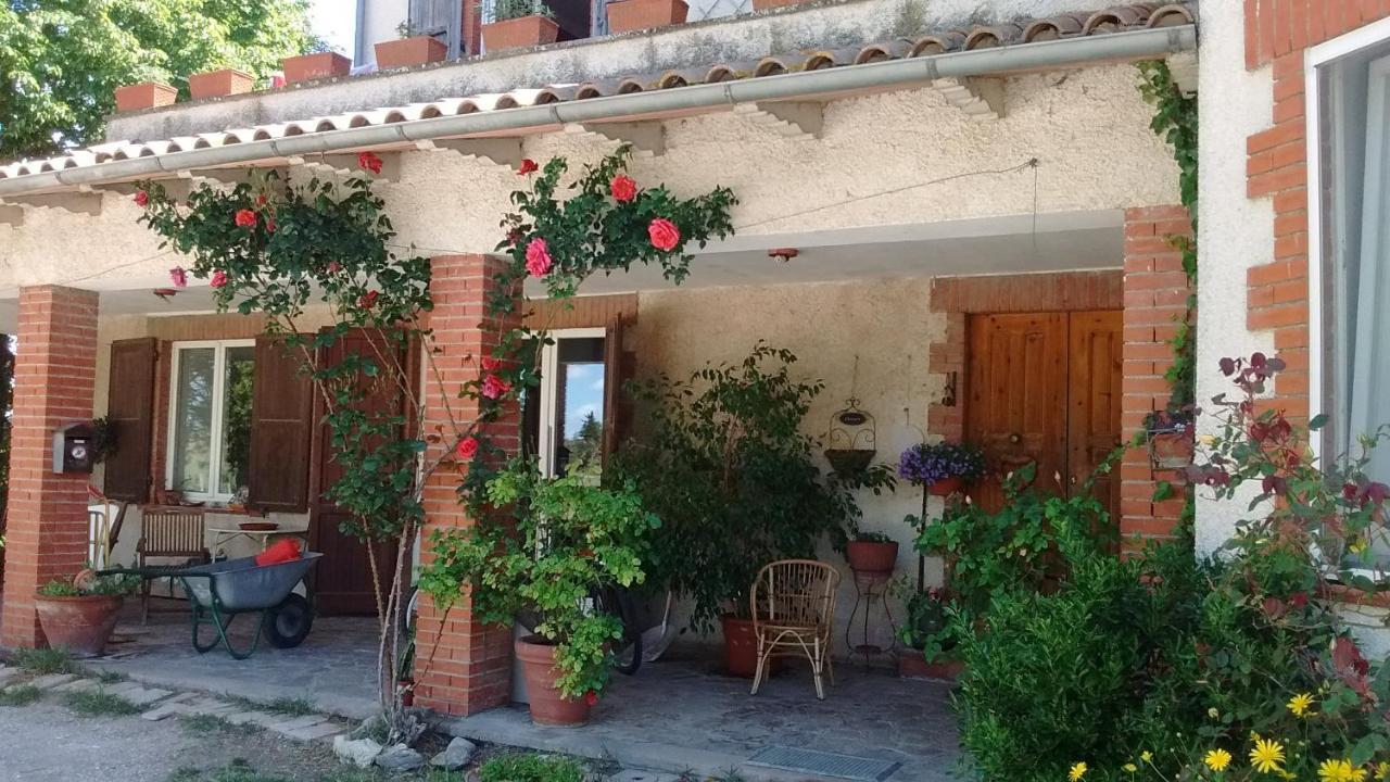 B&B La Gallinella Rossa Baschi Eksteriør bilde