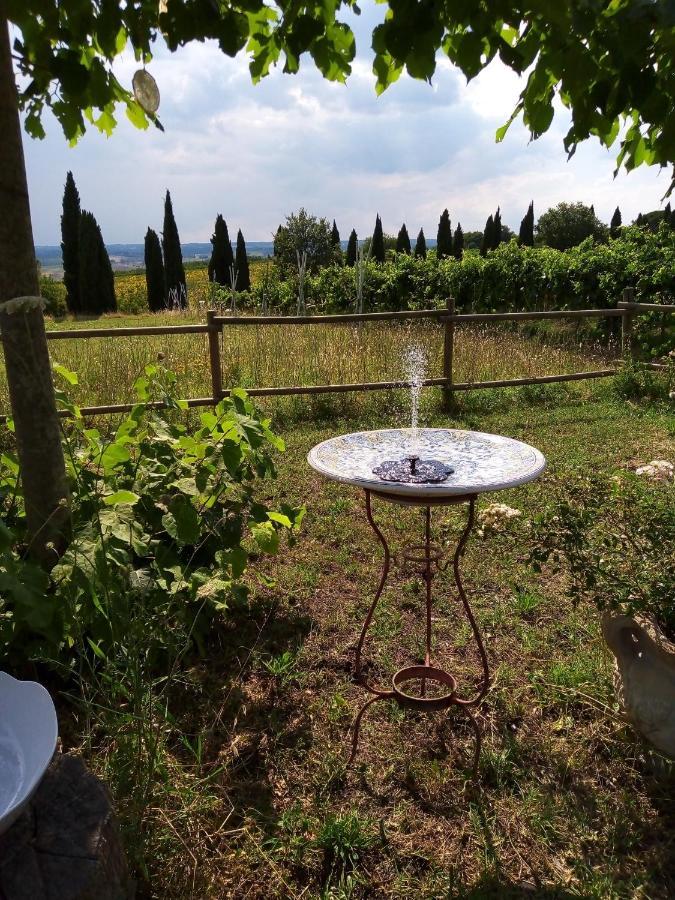 B&B La Gallinella Rossa Baschi Eksteriør bilde