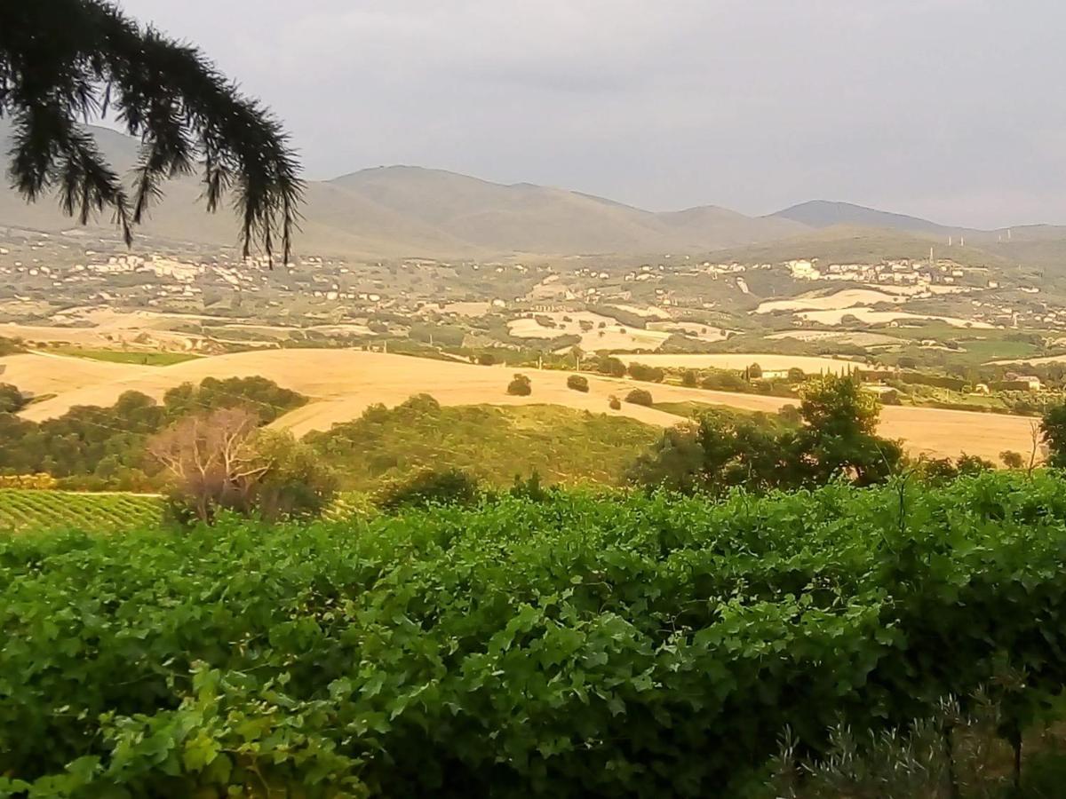 B&B La Gallinella Rossa Baschi Eksteriør bilde