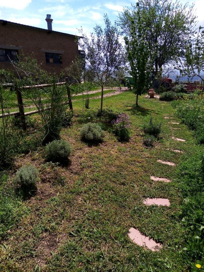 B&B La Gallinella Rossa Baschi Eksteriør bilde