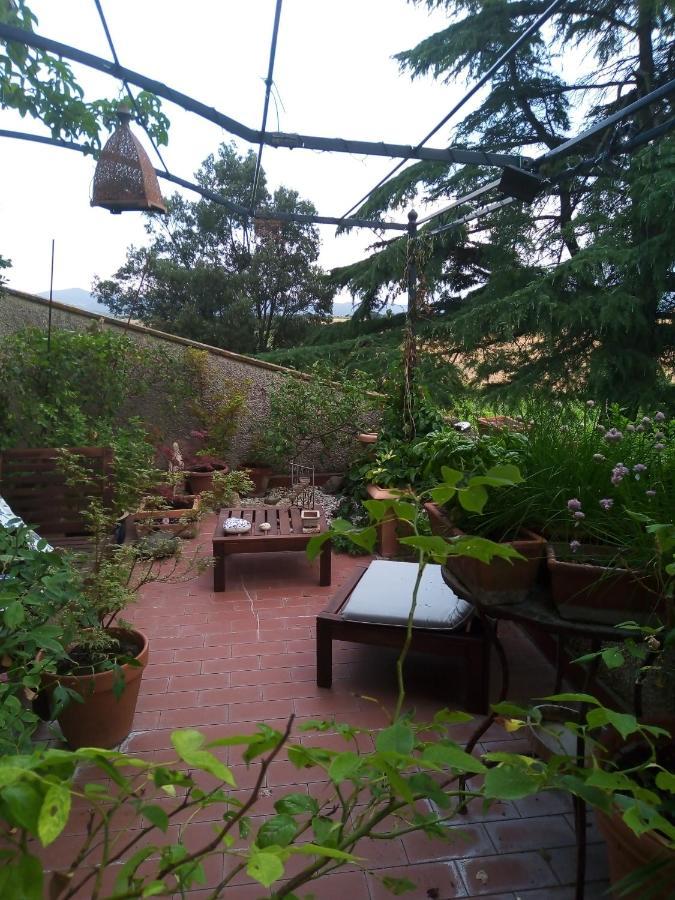 B&B La Gallinella Rossa Baschi Eksteriør bilde