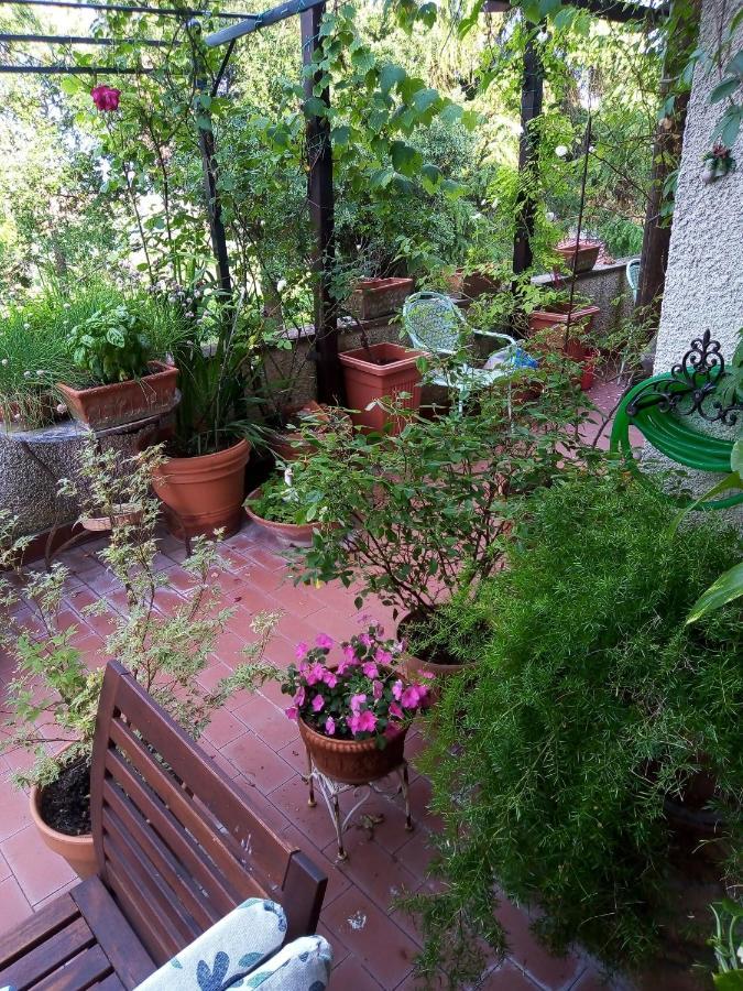 B&B La Gallinella Rossa Baschi Eksteriør bilde
